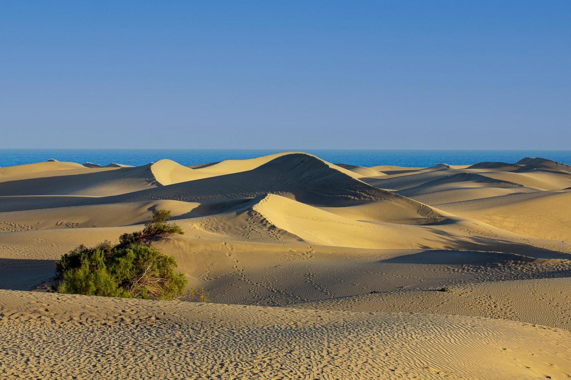 Kasbah 1 Holiday Home By Pride Holiday Rentals Maspalomas  Exteriör bild